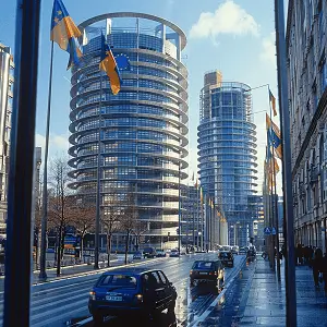 岚皋美食达人秀在哪里